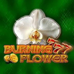 Burning Flower